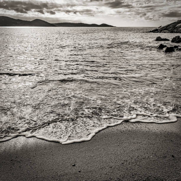 littoral Corse en noir et blanc paysage en noir et blanc du littoral de Corse du sud en automne image en noir et blanc stock pictures, royalty-free photos & images