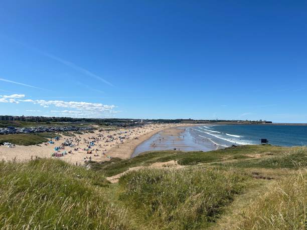 istock Sandy beach with people under a clear sky captured from a hilltop 1447854915