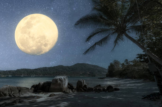 istock Big moon glowing over tropical sea beach in the night 1447855601