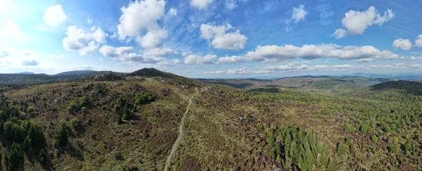 istock Panoramic of a big field with the blue sky above it. 1447855700