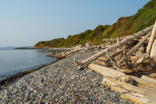 istock Natural landscape of the beach 1447856171