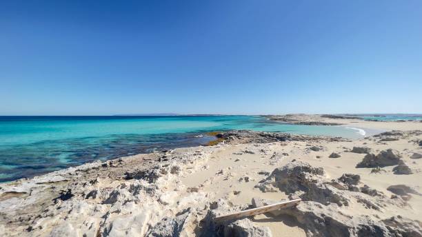 istock Soft blue ocean wave on the rocky beach 1447856201