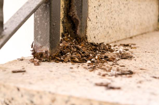 istock Closeup of a rusty iron pillar 1447856295