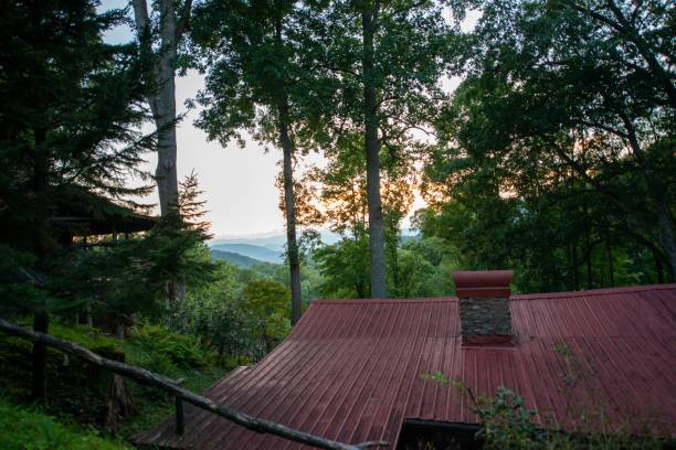 Red roof surrounded by trees in a park
