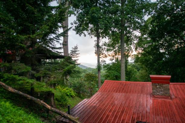istock Red roof surrounded by trees in a park 1447859437