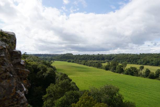 istock Landscape of green meadow with trees 1447860660
