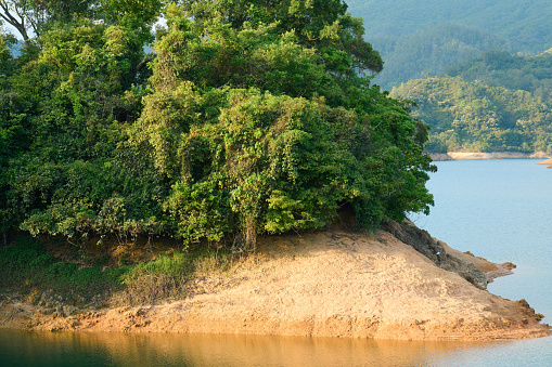 A beautiful shot of green plants growing on a small lake island in Shing Mun Reservoir, Hong Kong