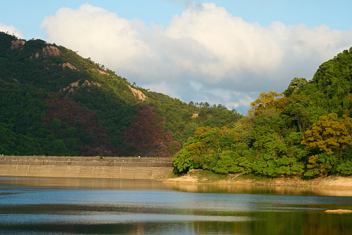 A scenic view of the mountain dense forest by the lake in Shing Mun Reservoir, Hong Kong