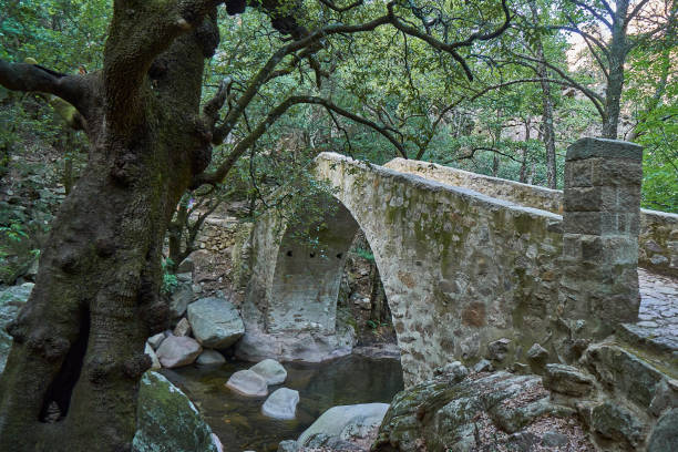 istock Bridge at Spelunca Gorge is a popular destination for hiking 1447863578