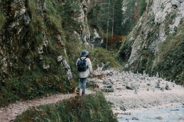 istock Rear view of girl wearing backpack, walking on path in valley with stream 1447865578
