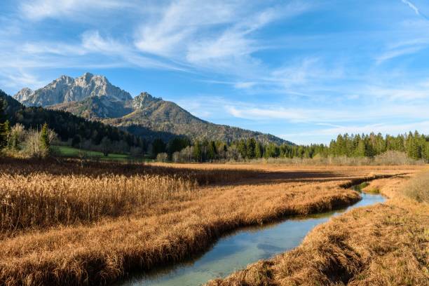 istock Amazing landscape with creek flowing through grassland under mountains 1447865849