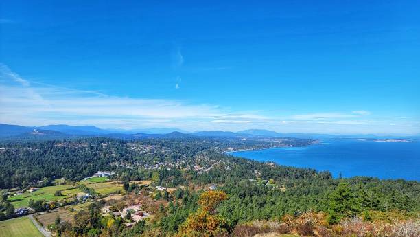 istock Panoramic view of a beautiful lush forest and a sea 1447866378