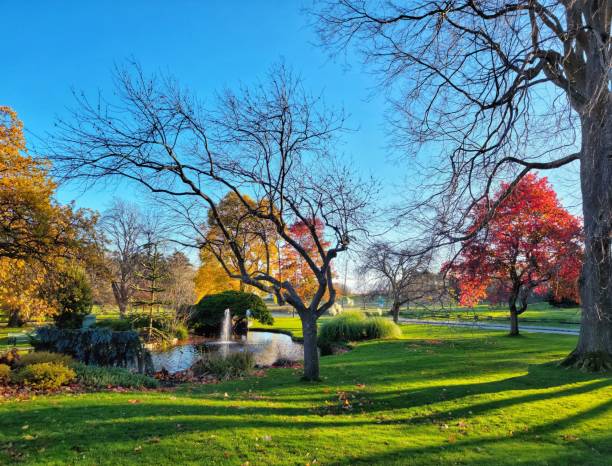 istock Beautiful view of a park with a lake in fall 1447866815