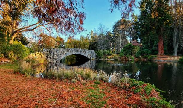 istock Beautiful view of a bridge in the park in fall 1447866834