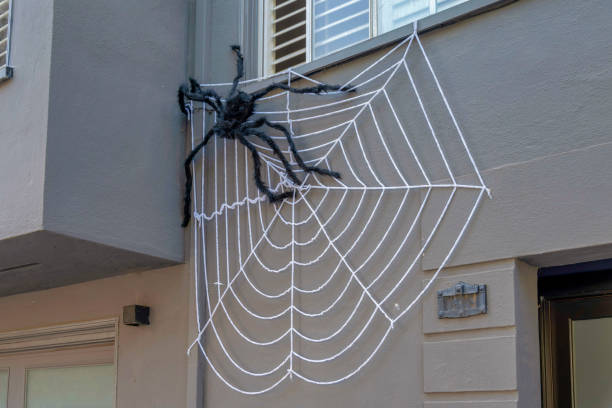 istock Black plush spider on a house at San Francisco, California 1447868906
