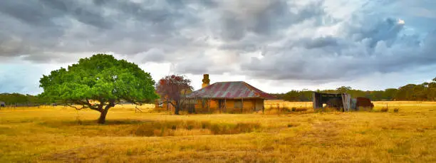 Old farmhouse and shed in summer with lone tree, dry grass and dramatic sky.