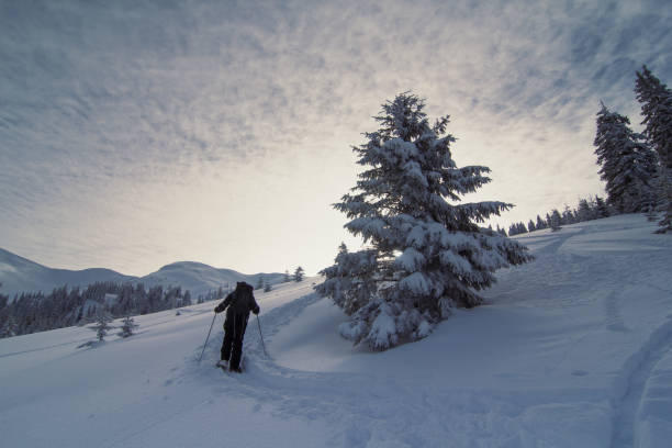 istock Skier bypassing conifer landscape photo 1447870275