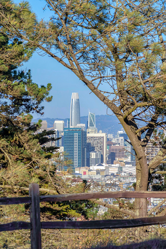 Vista de edificios de rascacielos desde una montaña en San Francisco, California photo