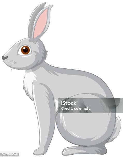 Graphic Grey Rabbit Cute Grey Rabbit Cartoon Character Stock Illustration - Download Image ...