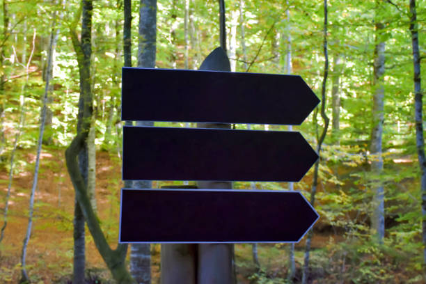 Free Stock Photo of Wooden sign in the forest | Download Free Images ...