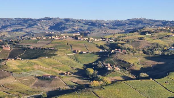 istock Beautiful hills and vineyards during fall season 1447882393