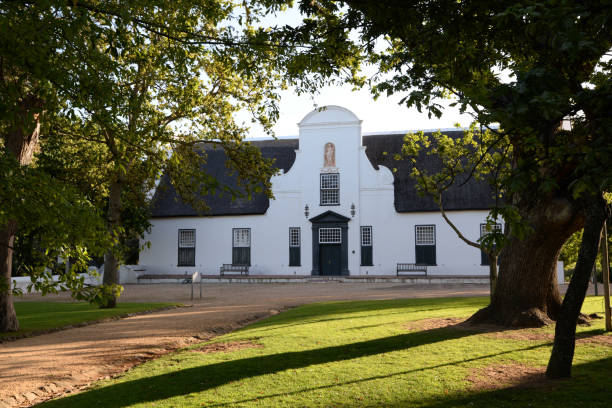 constantia wine estate perto da cidade do cabo, áfrica do sul - stellenbosch - fotografias e filmes do acervo