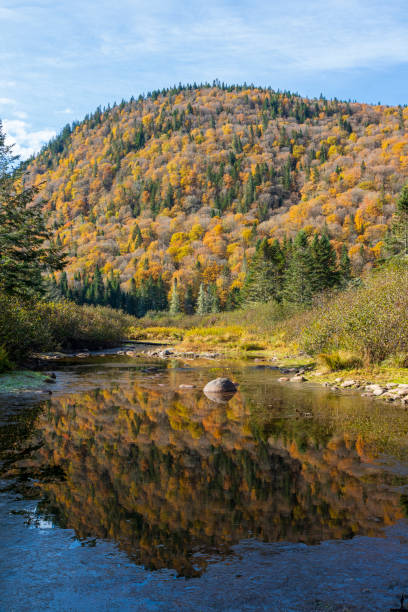 Fall colors reflections at Jacques Cartier National Park. Quebec. Canada.