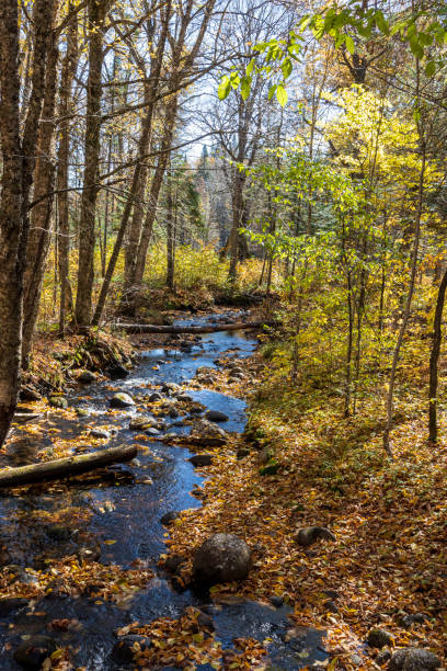 istock River at Jacques Cartier National Park. Quebec. Canada. 1447883896
