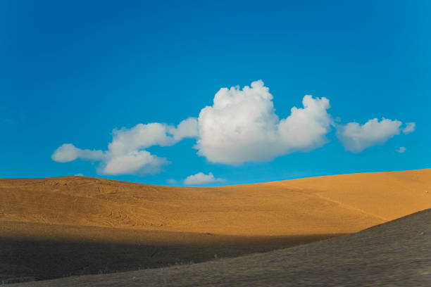Agriculture field in Morocco