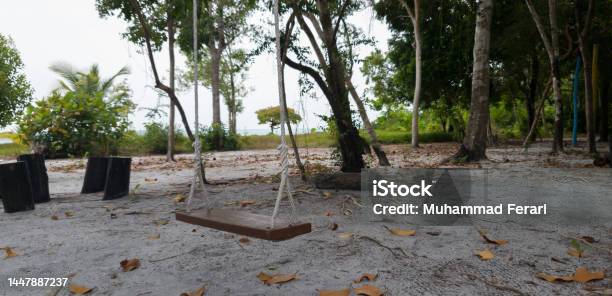 Empty Cradle Stock Photo - Download Image Now - Beach, Beauty, Blue