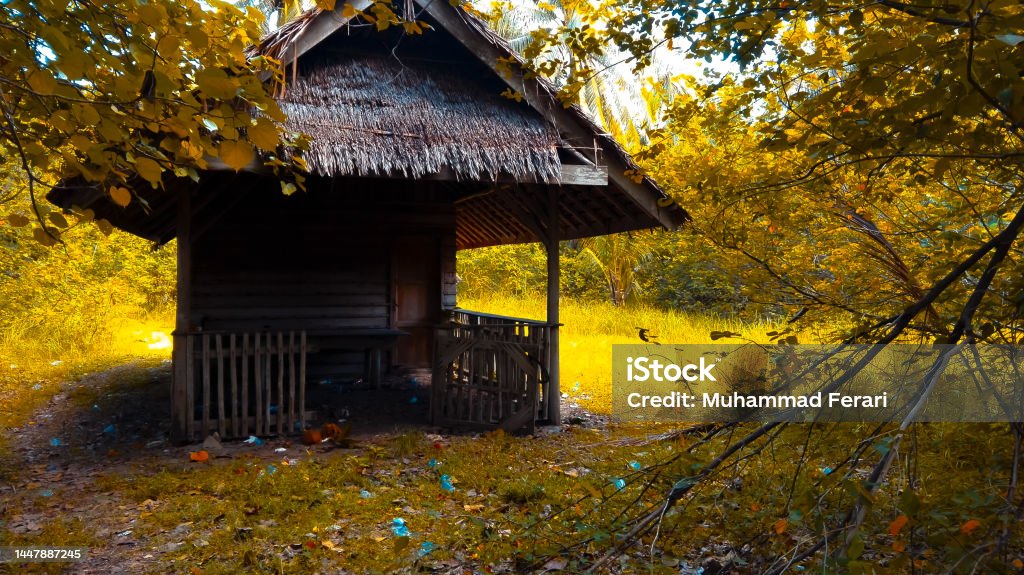 abandoned hut in the forest abandoned hut in the forest with yellow leaves Abandoned Stock Photo