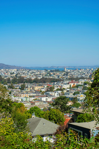 Sprawling cityscape with many rooftops and houses or homes in the distance with front yard trees with buildings and businesses. In the historic districts of downtown San Francisco California.