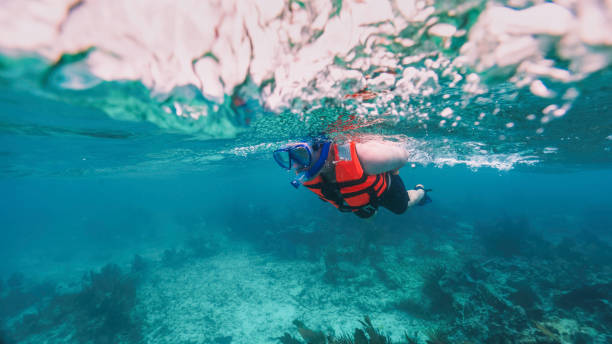 split shot of a tourist doing snorkeling with the mandatory lifejacket stock photo