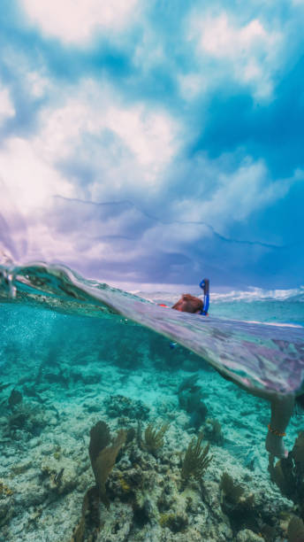 split shot of a tourist doing snorkel in the caribbean sea stock photo
