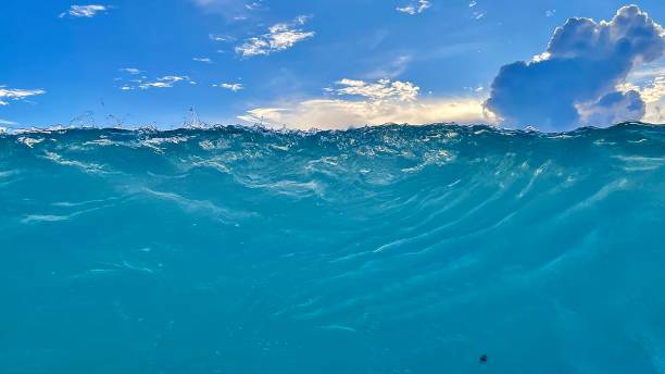 istock Wall of blue tropical water 1447893211