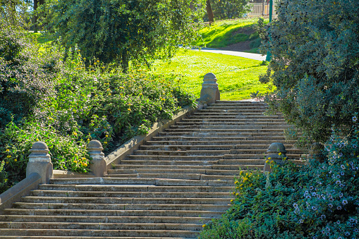 Cement staircase in a park or garden in public recreation area of the suburban city in afternoon shade with trees and plants. Hidden steps in the city or in the courtyard of a secret field in nature.