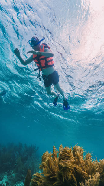 happy tourist doing snorkeling with life jacket stock photo