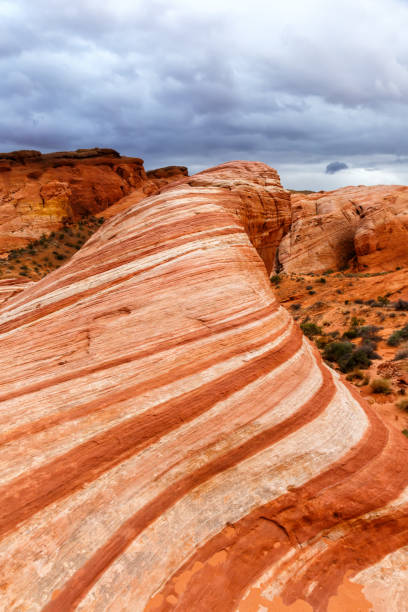 Red sandstone rock formation Fire Wave inside Valley of Fire State Park portrait format travel in Nevada in the United States