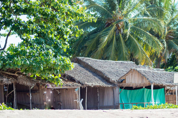 istock Beachfront bungalows in Andilana Nosy be 1447896083