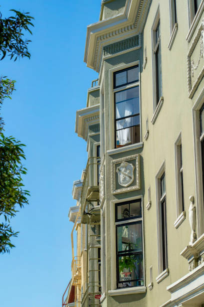 istock Beige stucco facade with visible windows and ridge like shape to exterior with front yard trees and clear blue copy space sky 1447897816