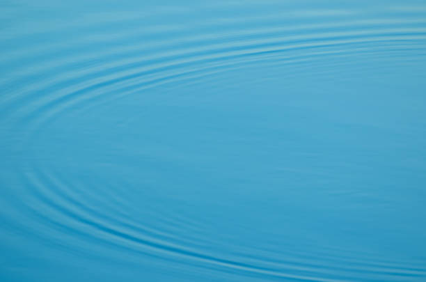 istock Wave ripple circles on the lake. Blurred transparent blue colored clear calm water surface texture. Trendy abstract nature background with copy space 1447899297