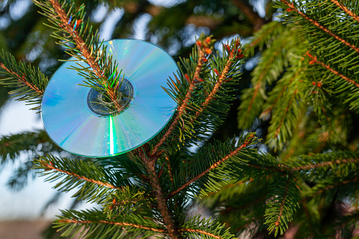 Compact disc is on a Christmas tree, New Year music party background photo