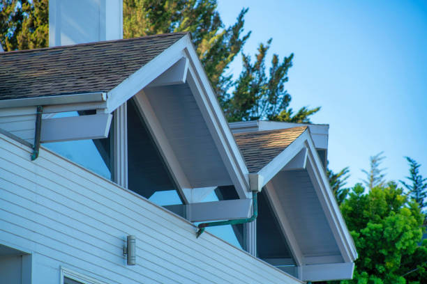 istock Double gable style a frame roofs with window walls and white stucco house with back yard trees and blue gradient sky background 1447900828
