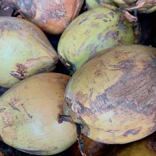 istock Coconut fruit has many health benefits 1447903973