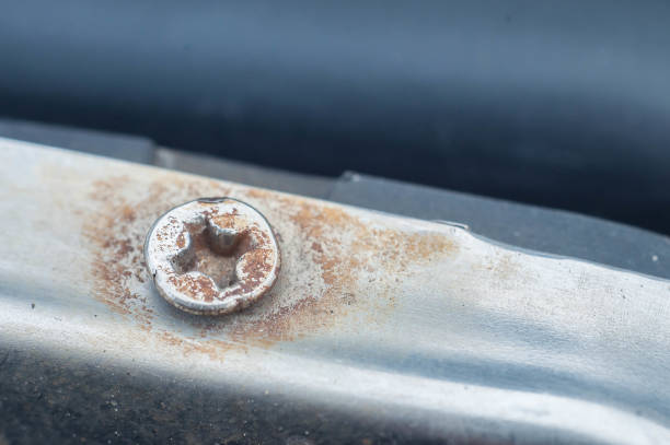 istock screw from the frame for the car license plate 1447905736