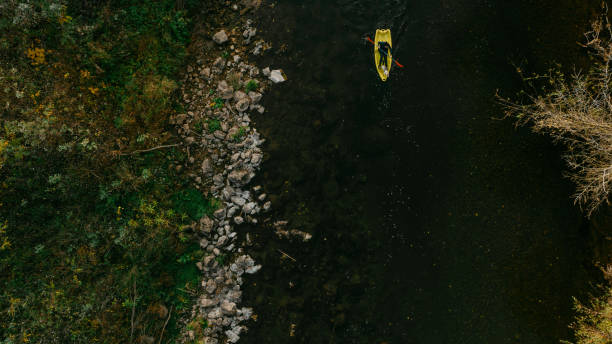istock Kayaking on the river with my dog 1447909386