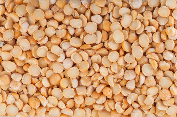 istock Dried yellow peas full screen, wallpaper. 1447909466