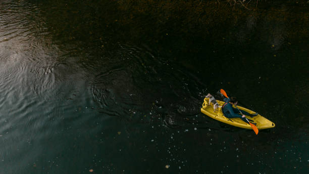 istock Kayaking on the river with my dog 1447909532