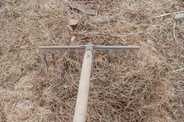 istock Land preparation of a private plot for planting fresh grass 1447909569