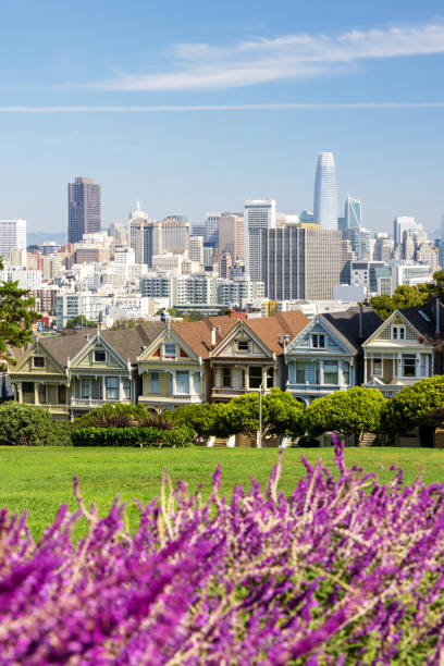 istock The Painted Ladies and San Francisco downtown 1447910364